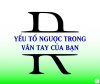 YẾU TỐ NGƯỢC TRONG VÂN TAY CỦA BẠN